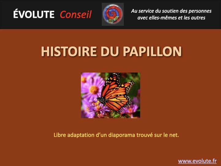 Histoire du papillon.001