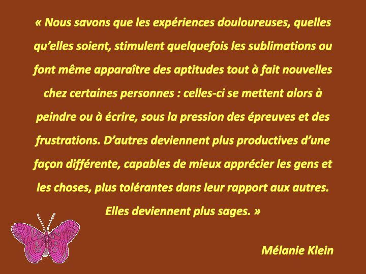 Histoire du papillon.013