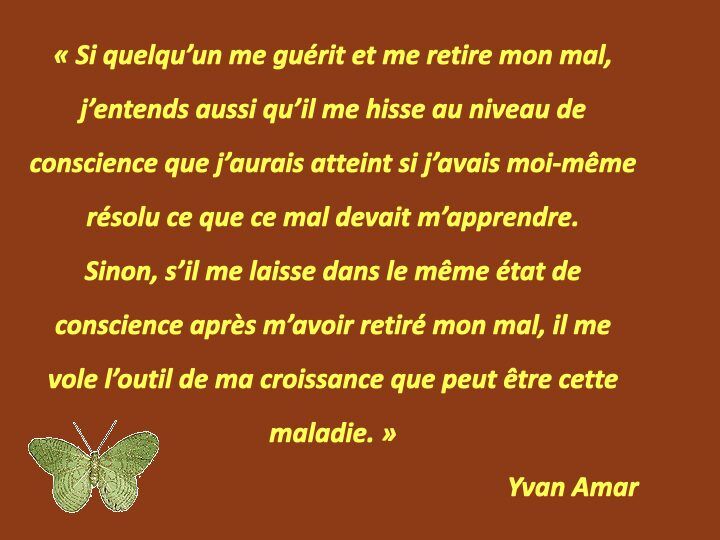 Histoire du papillon.014