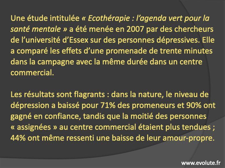 La dépression.006