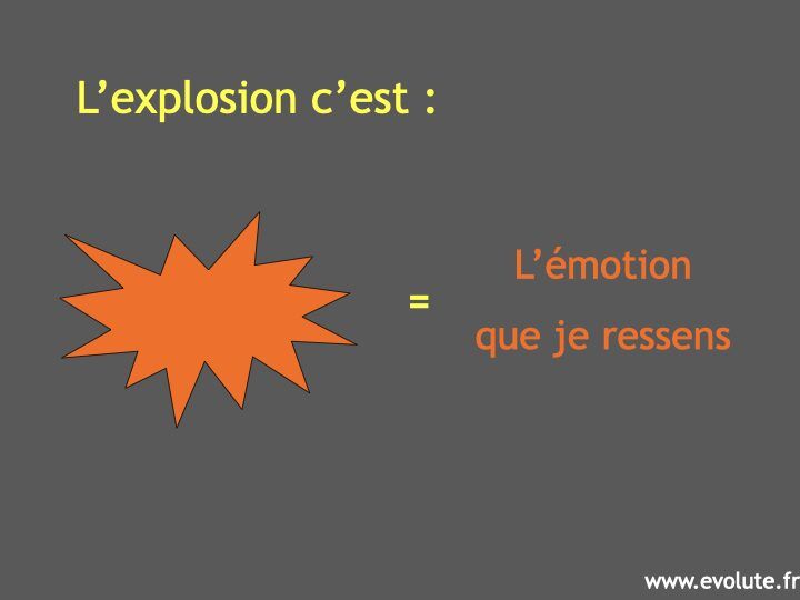 Le mécanisme de l’émotion.008