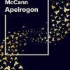 Apeirogon, toutes les facettes d'un conflit