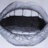 Bouche ouverte