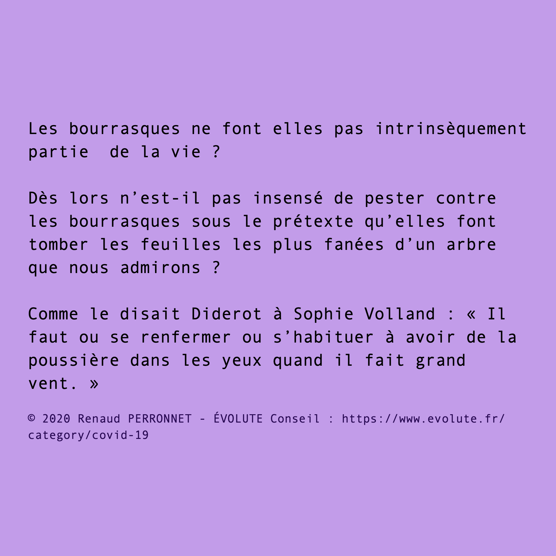 Bourrasque
