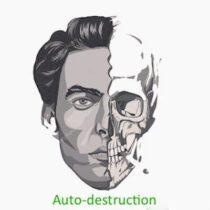 auto-destruction