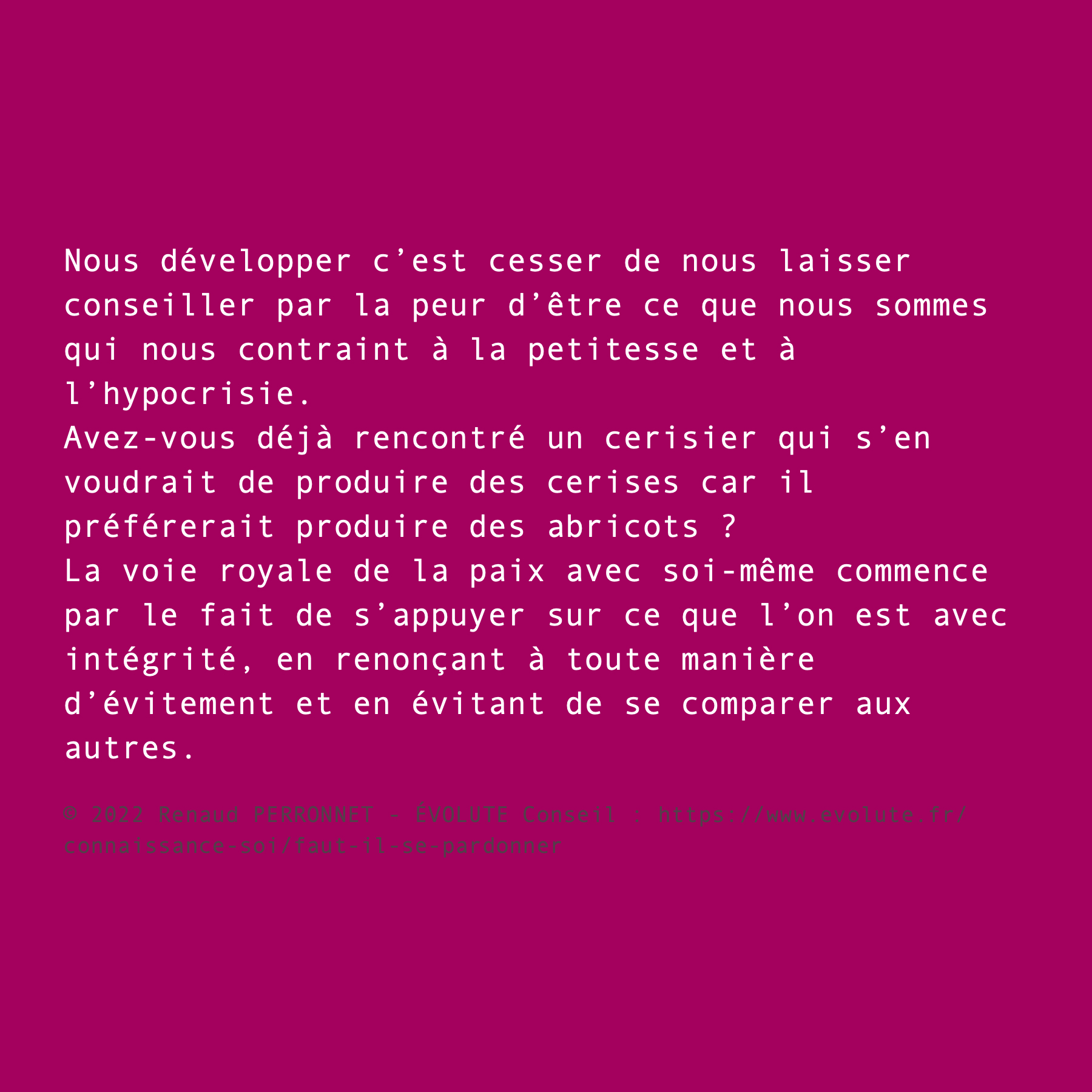 Ce que je suis