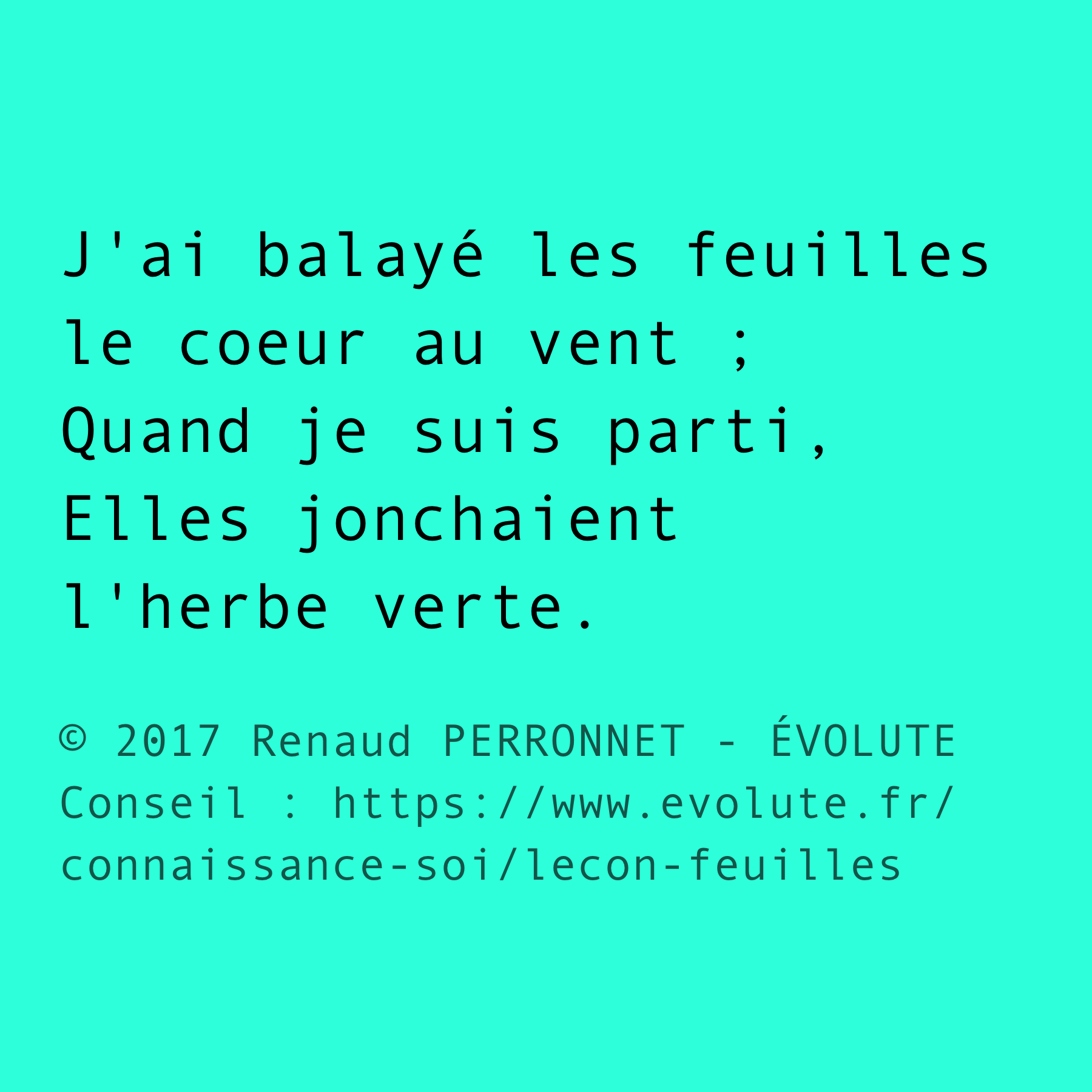 Feuilles au vent