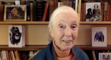 jane-goodal