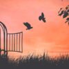 Démarche spirituelle ou développement personnel ?