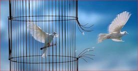 Prison
