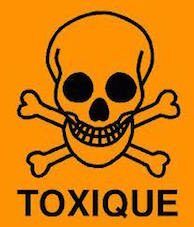 Pourquoi faut-il reconnaître sa toxicité à l'oeuvre dans sa relation à l'enfant ?