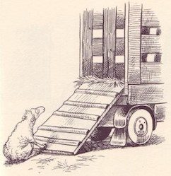 Voir ses schémas* à l'oeuvre pour y renoncer